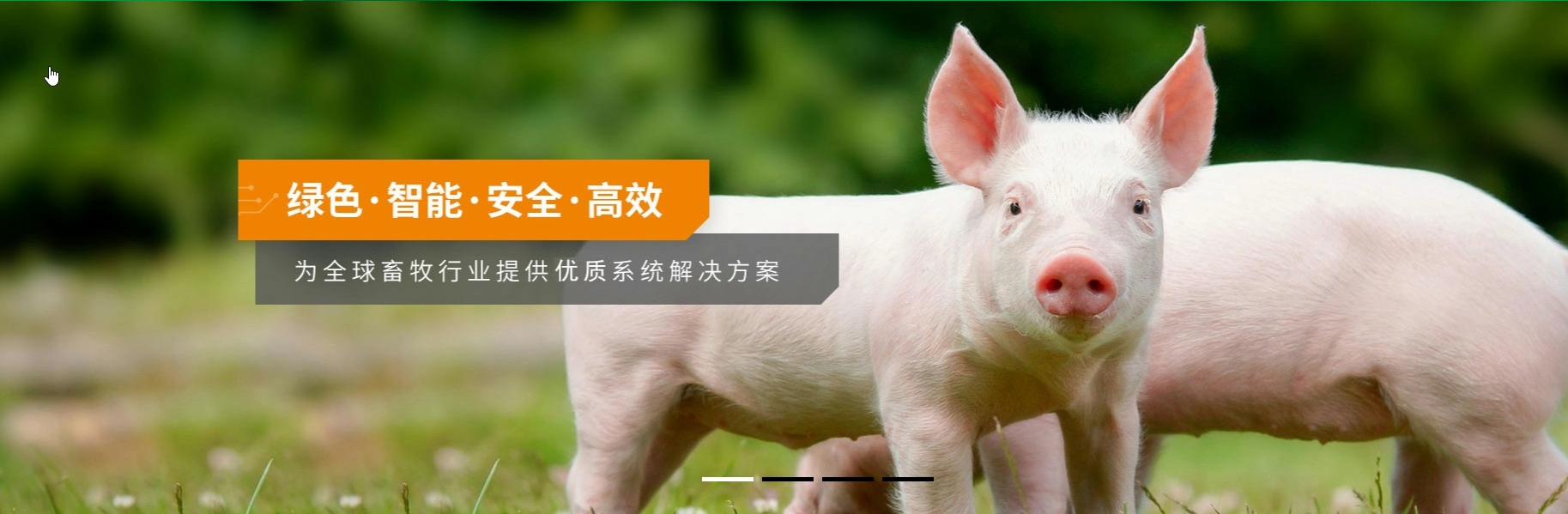 The company currently has